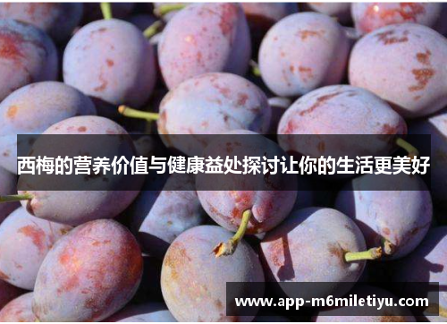 西梅的营养价值与健康益处探讨让你的生活更美好